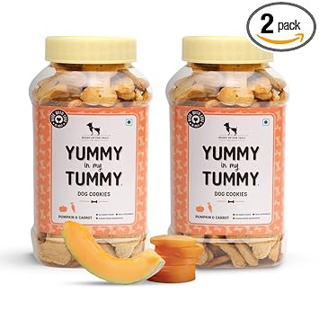 Heads Up for Tails Dog Biscuits Veg - Treats Cookies (320 Gm Each, Pumpkin and Carrots) - Pack of 2
