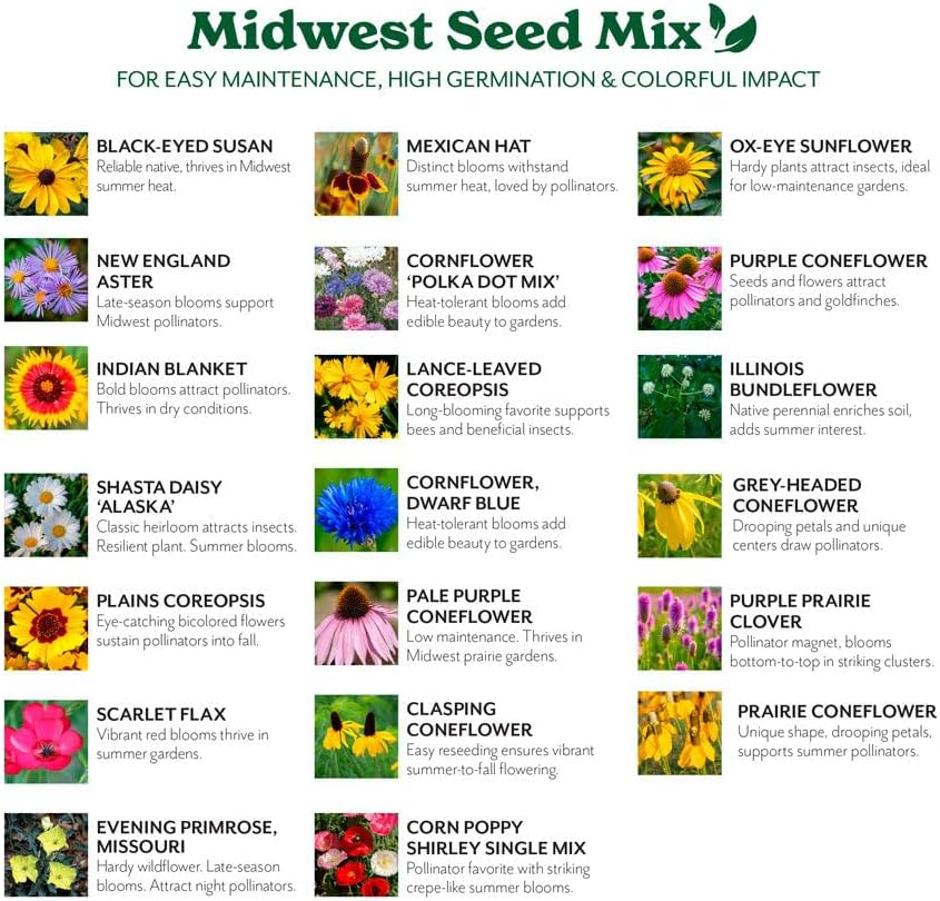 Grow Your Own Vibrant Annual and Perennial Wildflower Garden Seeds Mixture, Varieties for Pollinators and Spring Gardens - Midwest Regional Mix, 50 lbs