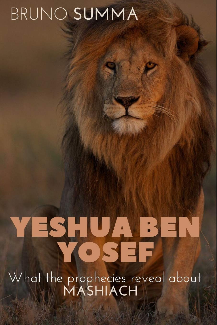 YESHUA BEN YOSEF: What the prophecies reveal about MASHIACH