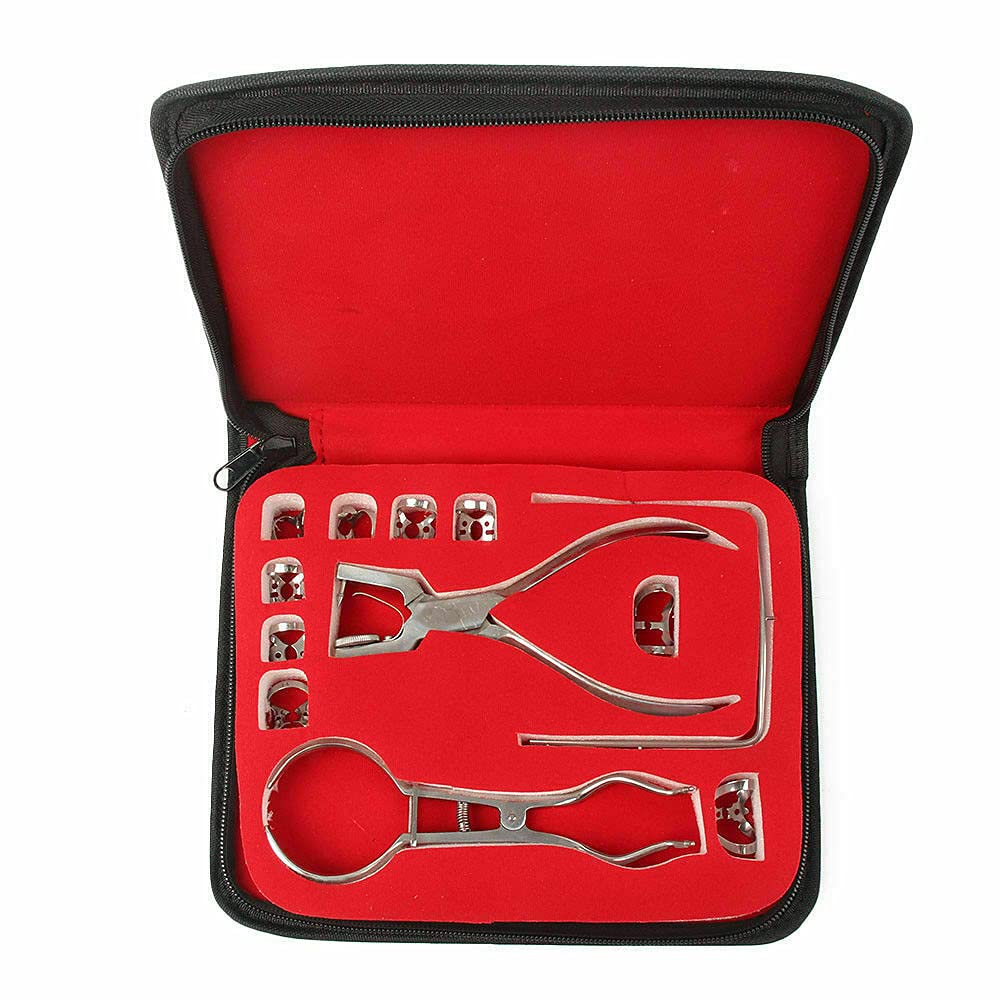 AAProTools Endodontic Clamp Kit with 12 Clamps brand DN-2207