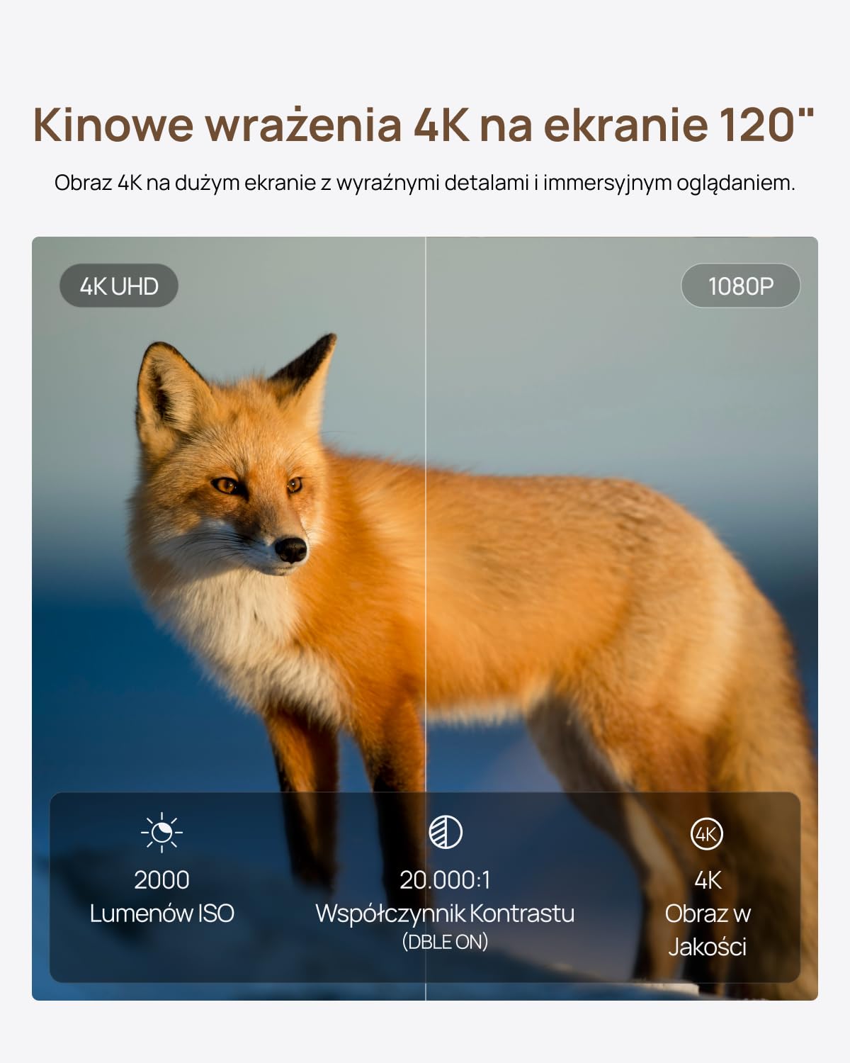 XGIMI MIRA 4K Projektor Ultrakrótkiego Rzutu Potrójny Laser,2000 ISO