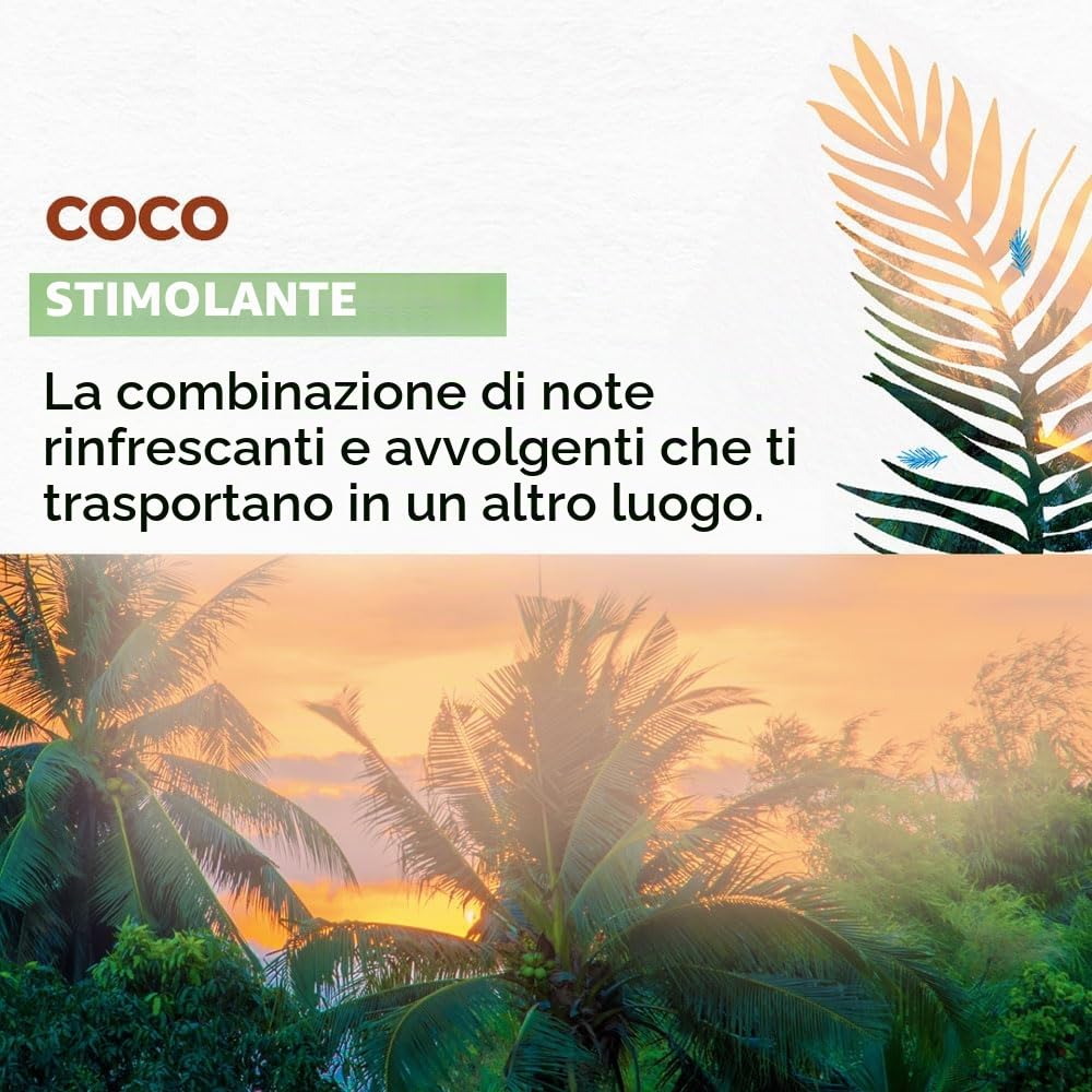 Yves Rocher, Duo Crema corpo idratante al cocco, 390 ml, confezione da 2 creme (2) (grande, cocco)