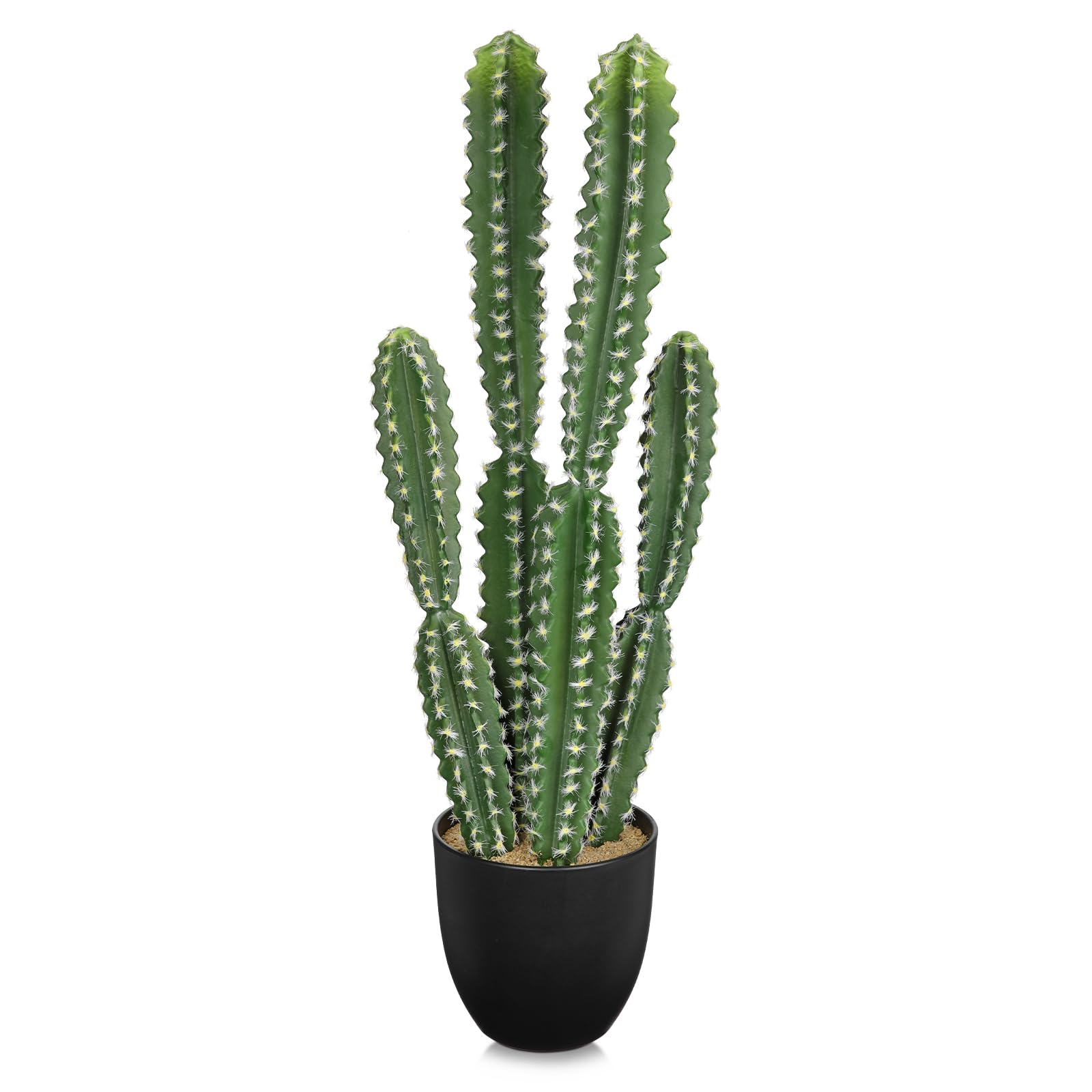 DILATATA 27.5-Inch Candelabra Cactus