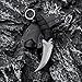 OOULORE Fixed Blade Knife, D2 Steel Blade, G10 Handle, Tactical EDC, Double Edged, Claw Knife, Utility for Outdoor Survival, Hiking, Camping with Kydex Sheath OK1212 (Black/Silver)