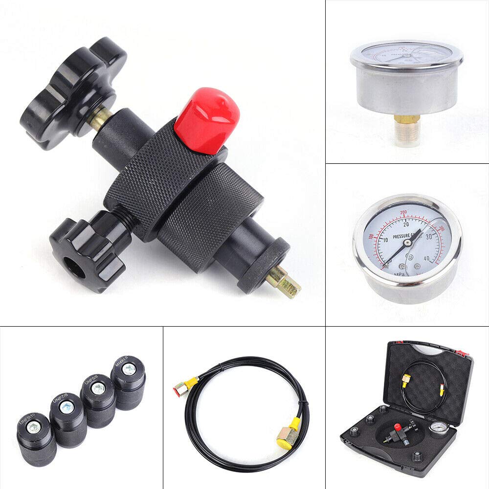 Buy BoTaiDaHong 5 in 1 Hydraulic Accumulator Nitrogen Fill Valve Pressure Test Kit 300Bar
