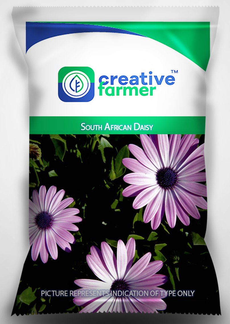 Creative Farmer Flower Seeds Rare- South African Daisy Flower Seeds for Gardening - 1 Packet (B01LXCZ8S4) Amazon Price History, Amazon Price Tracker