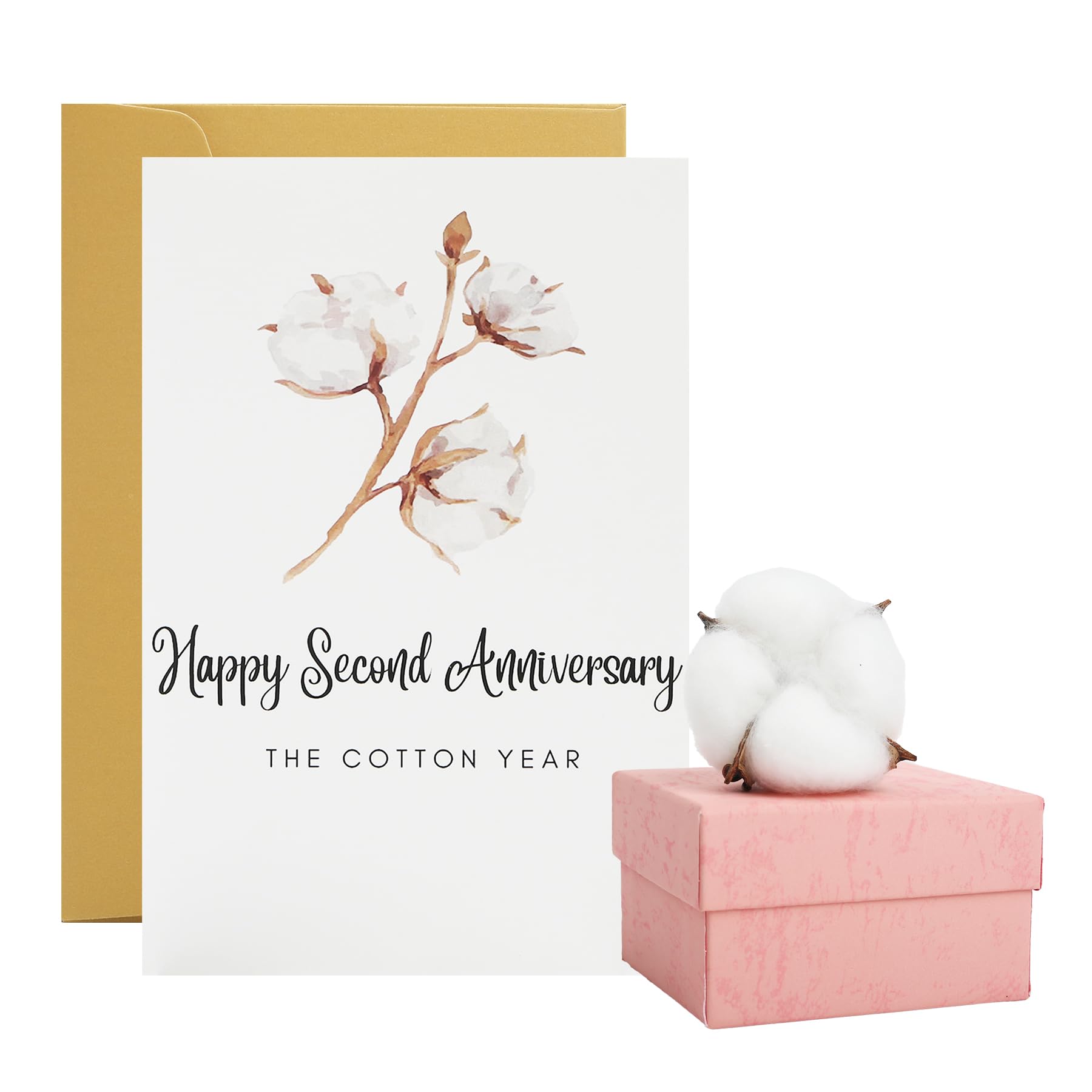 Wasise Cotton Gifts- 2nd Anniversary Card,Romantic Cotton Wedding Anniversary Memorial Present with Keepsake Box and Real Cottons Bouquet, Happy 2nd Wedding Memorial Gifts for Son and Daughter In Law