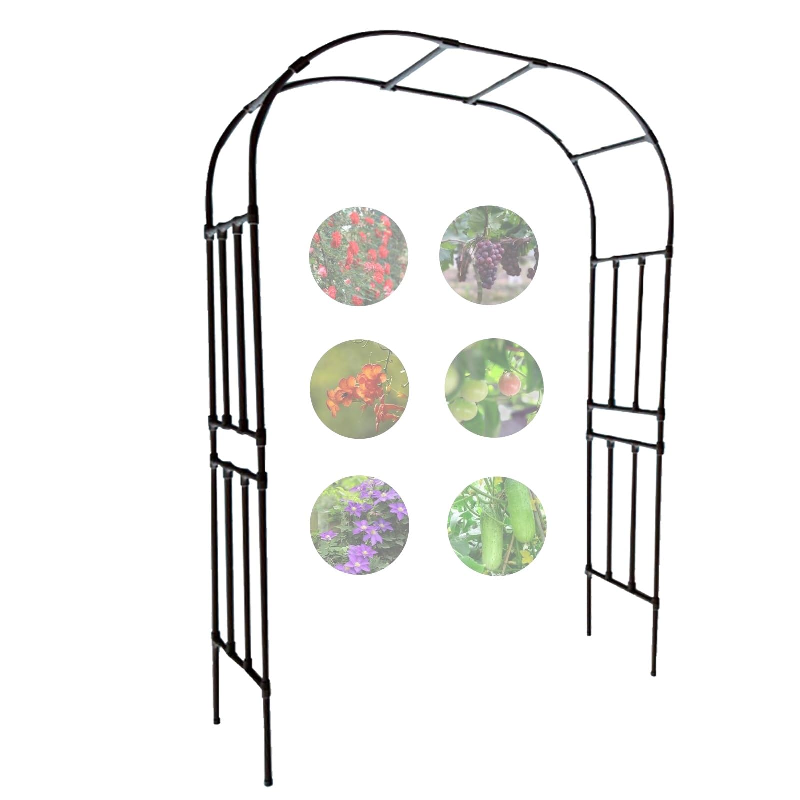 Arche de jardin en métal noir réglable 1,2x3,2m pour plantes grimpantes