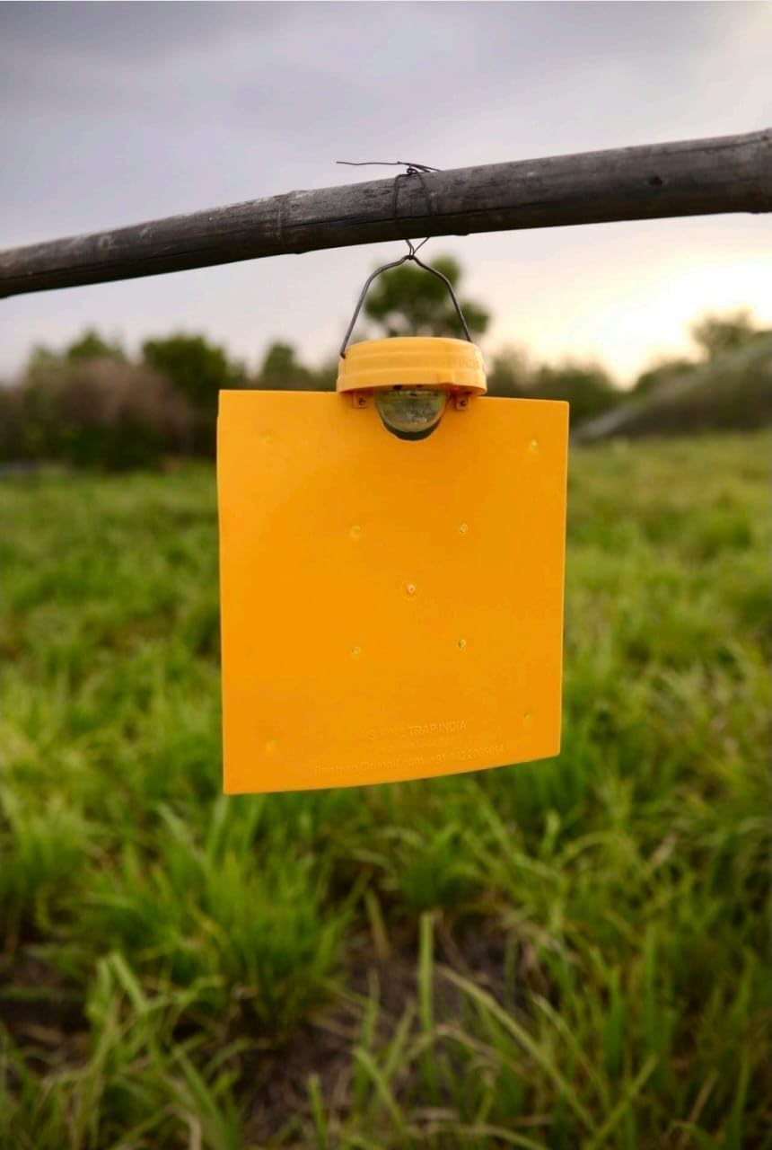 Solar Insect Trap for Agriculture | Eco-Friendly Pest Control for Farms | Solar Powered, Insect Control ,agriculture insect trap,farming pest contorl,organic farming, farm insect control,-image-15