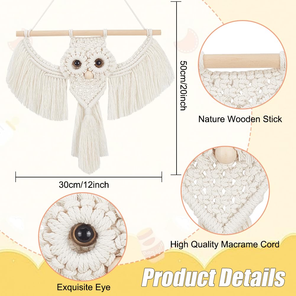 BEUNITONE Makramee-Kits für Erwachsene - 2 Set Anfänger DIY Makramee Kit mit Anleitung, Baumwollseil Eule Dekoration für Wand und Flur