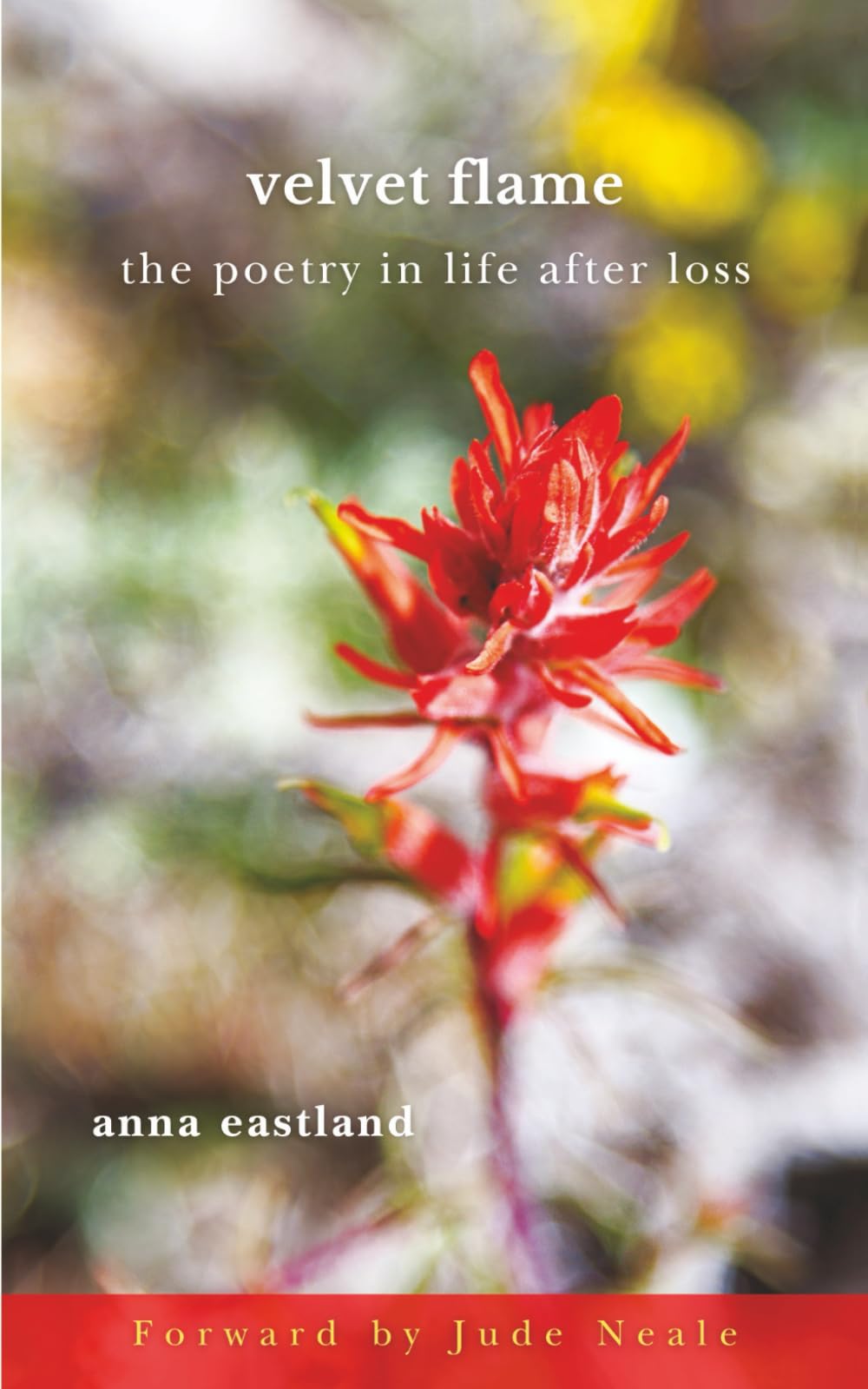 Velvet Flame: The Poetry in Life after Loss