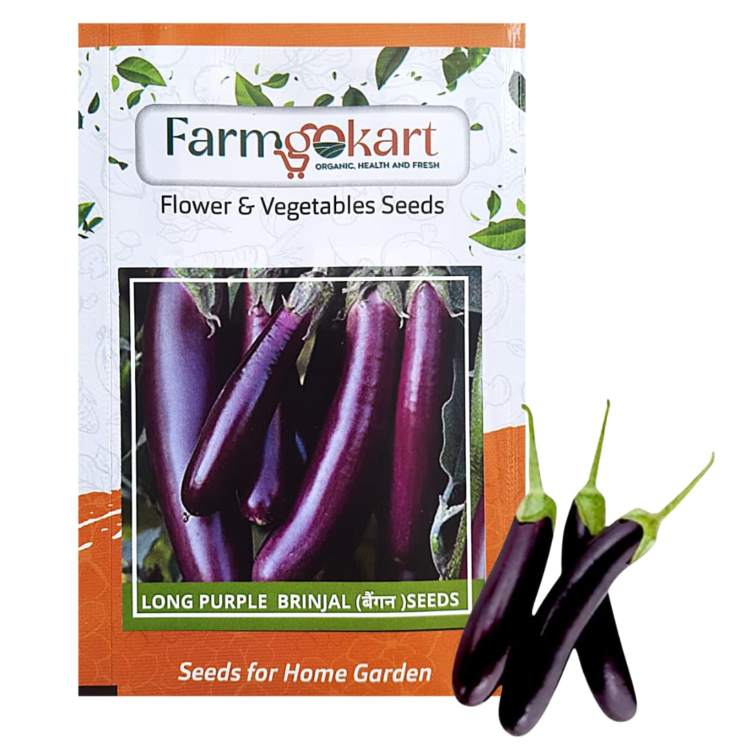 FARMGO 10 Gms - BRINJAL PURPLE LONG SEEDS, Vegetable Seeds for Home Gardening, Farming, Hydroponics and Poly Houses (B0BX6RBT1Z) Amazon Price History, Amazon Price Tracker