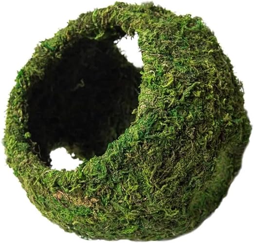 05344 Mossy Cave with Holes for Aquarium, 7.5", Green (759834053446)