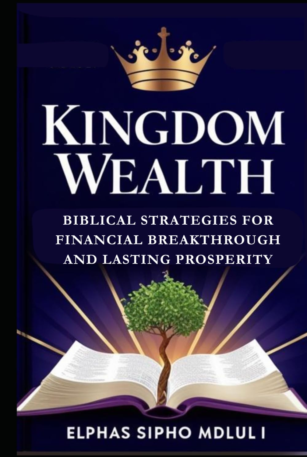 Kingdom Wealth: Biblical Strategies for Financial Breakthrough and Lasting Prosperity: A Practical Guide to Making Money, Mastering Stewardship, and ... (Financial Order & Independence Series)