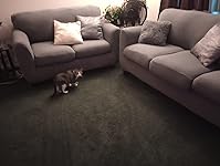 Review Image by Leana Brumley Leana Brumley