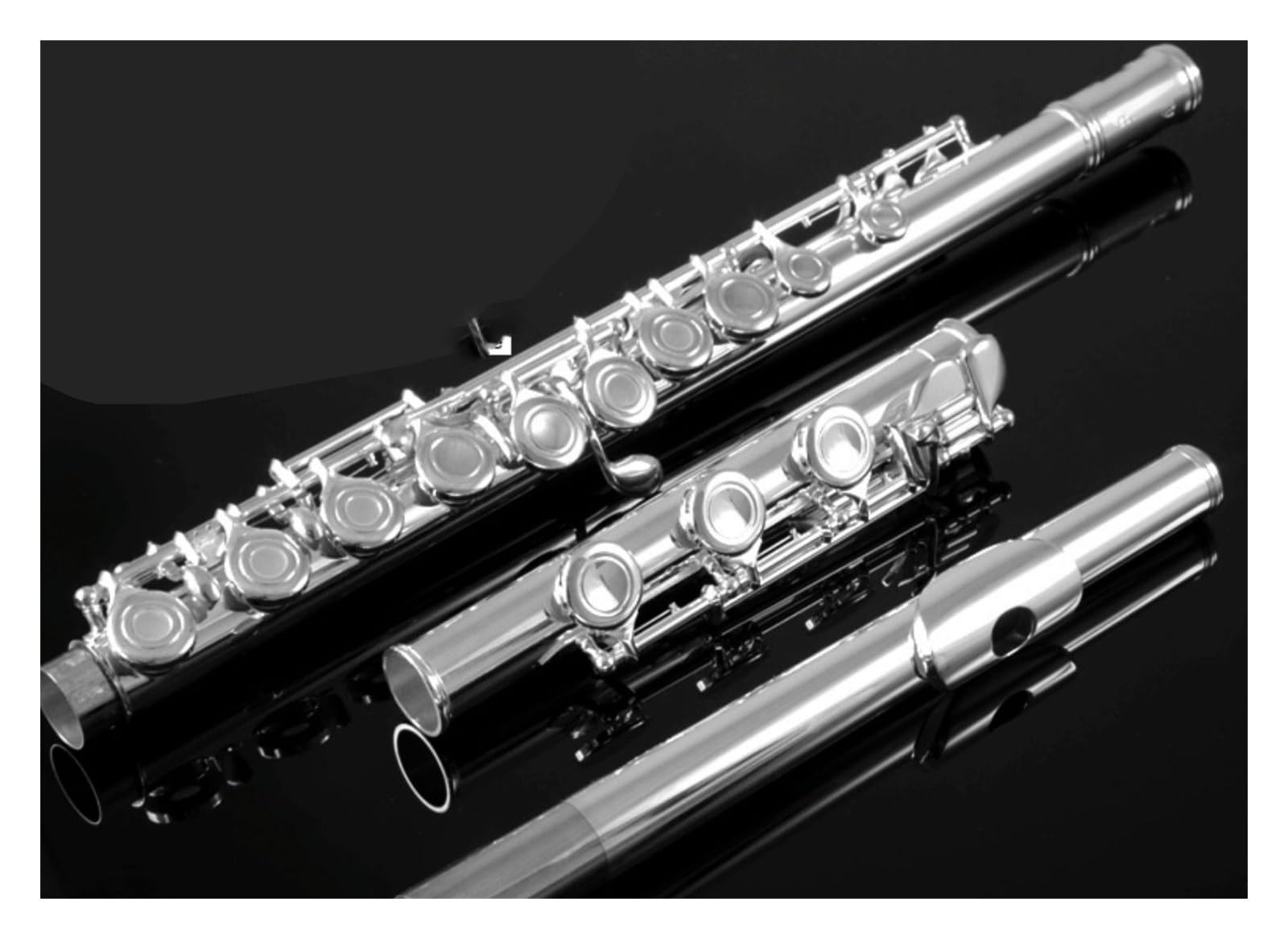 flauta de instrumento musical Flauta de nivel básico para principiantes flauta de banda de escuela primaria con 16 obturadores