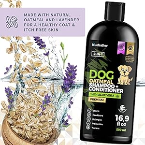 Lavender Oatmeal 2 in 1 Dog Shampoo and Conditioner for Dry Itchy Sensitive Skin – Moisturizing Hypoallergenic Shampoo – Oatmeal Wash with Aloe for Any Pet Dog Puppy or Cat 16.9 Fl Oz (Pack of 1)
