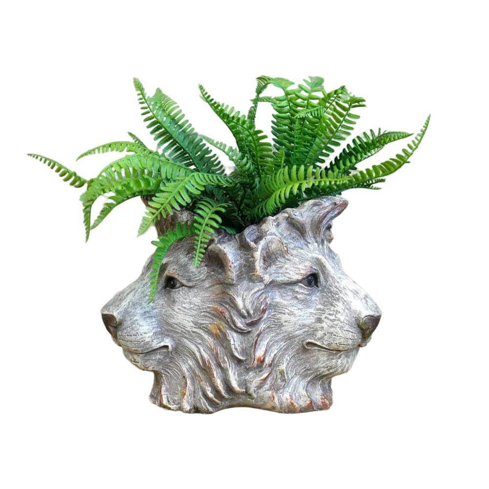 Gifts Direct 2 U Decorative Plant Pot Resin 3 Lion Head Planter Animal Design Home Decoration