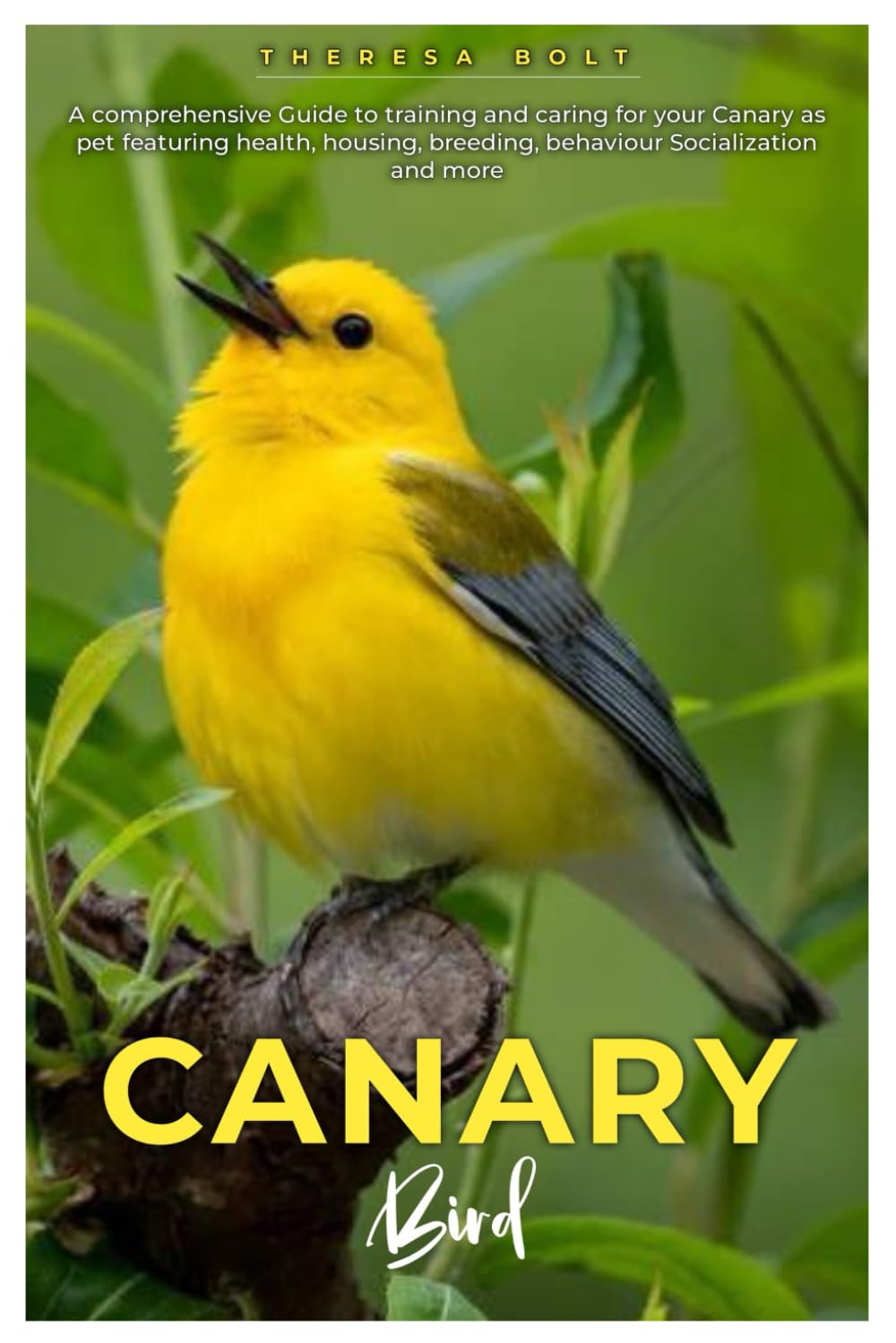 CANARY BIRD: A comprehensive Guide to training and caring for your canary as pet featuring health, housing, breeding, behaviour, socialization and more.