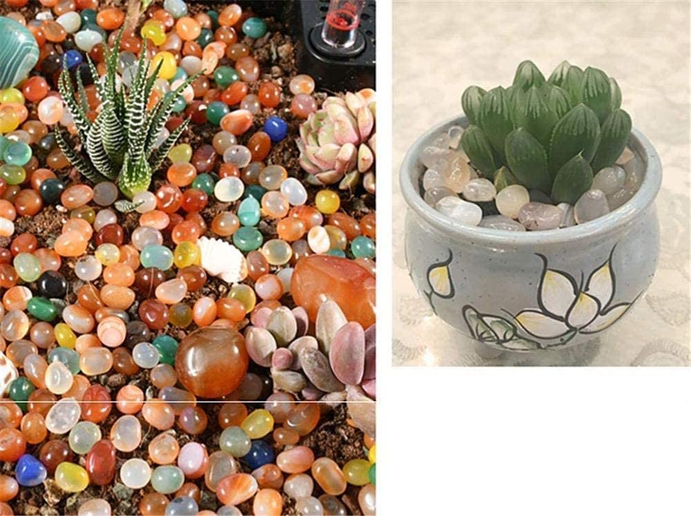 Schilderstenen & Decoratie Kiezels Wit Stenen Witte Marmeren Kiezels 1,9kg - Schilderstenen voor Acryl & Knutselen | Decoratieve Grind voor Tuin, Tegels & Aquarium | Natuursteen Tuinstenen 20-40mm