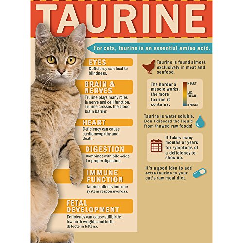 Cat-Man-Doo Bowwow Dried Bonito Flakes Dog Treat And Food Topper, 4 Ounces #TOP1