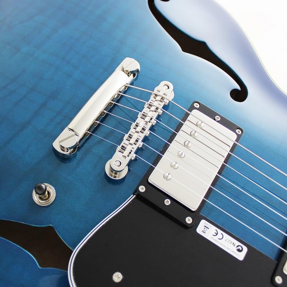 Amazon | FUJIGEN MSA-HP/BBT Masterfield MSA セミアコギター