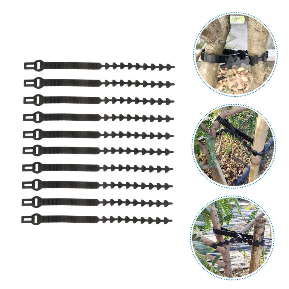 GALPADA Verstellbare Baumbefestigungsbänder Praktisch und Robust 10 Stück in Schwarz aus Flexiblem Gummi zum Binden von Bäumen und Bonsai im Garten