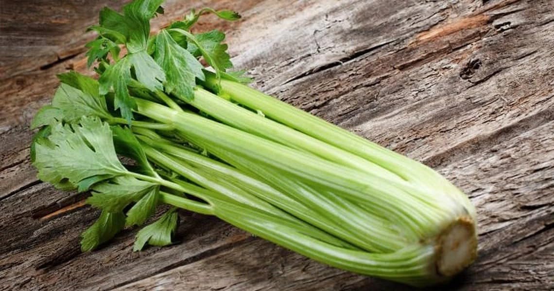 Willvine Celery Organic Herb/Vegetable-DLX-4L-image-39