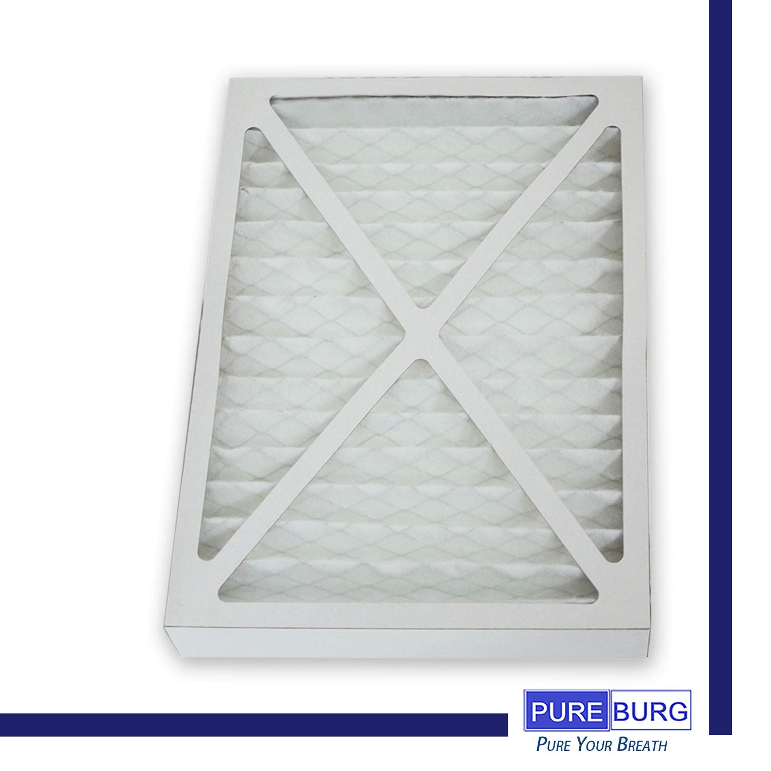 Amazon.com: PUREBURG 2-Pack Replacement HEPA Filters