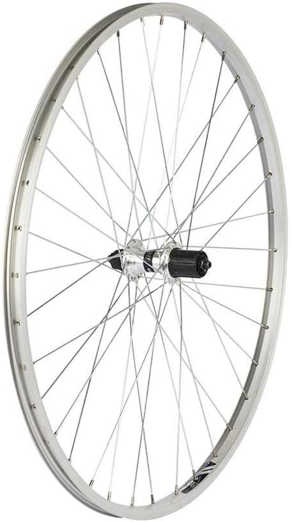 ALEX Toys X101 36H Shimano 8-Speed QR Rear Wheel, Silver/Silver, 700C