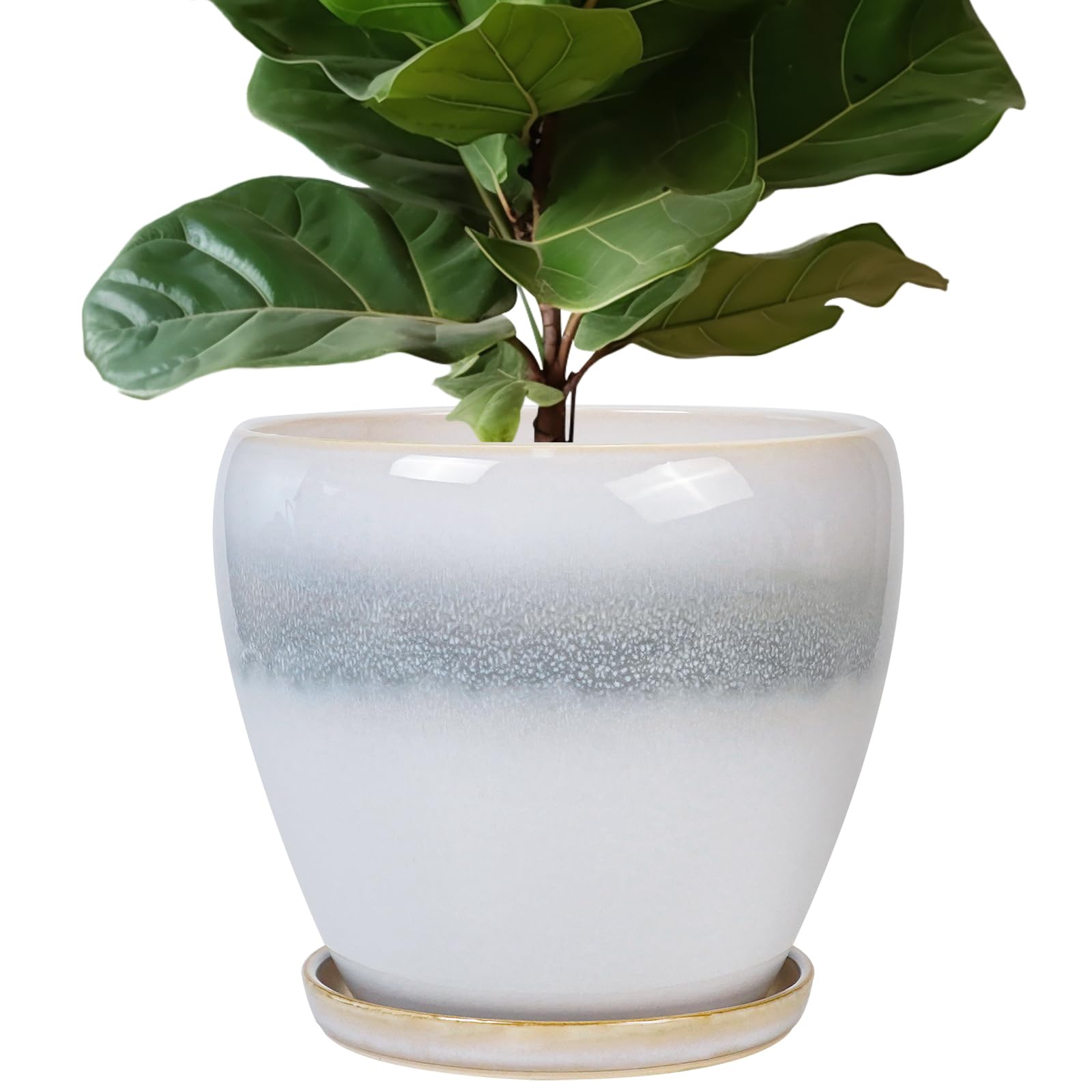 EPFamily Ceramic Planter 10 Inch White-Gray