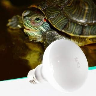 light tortoise
