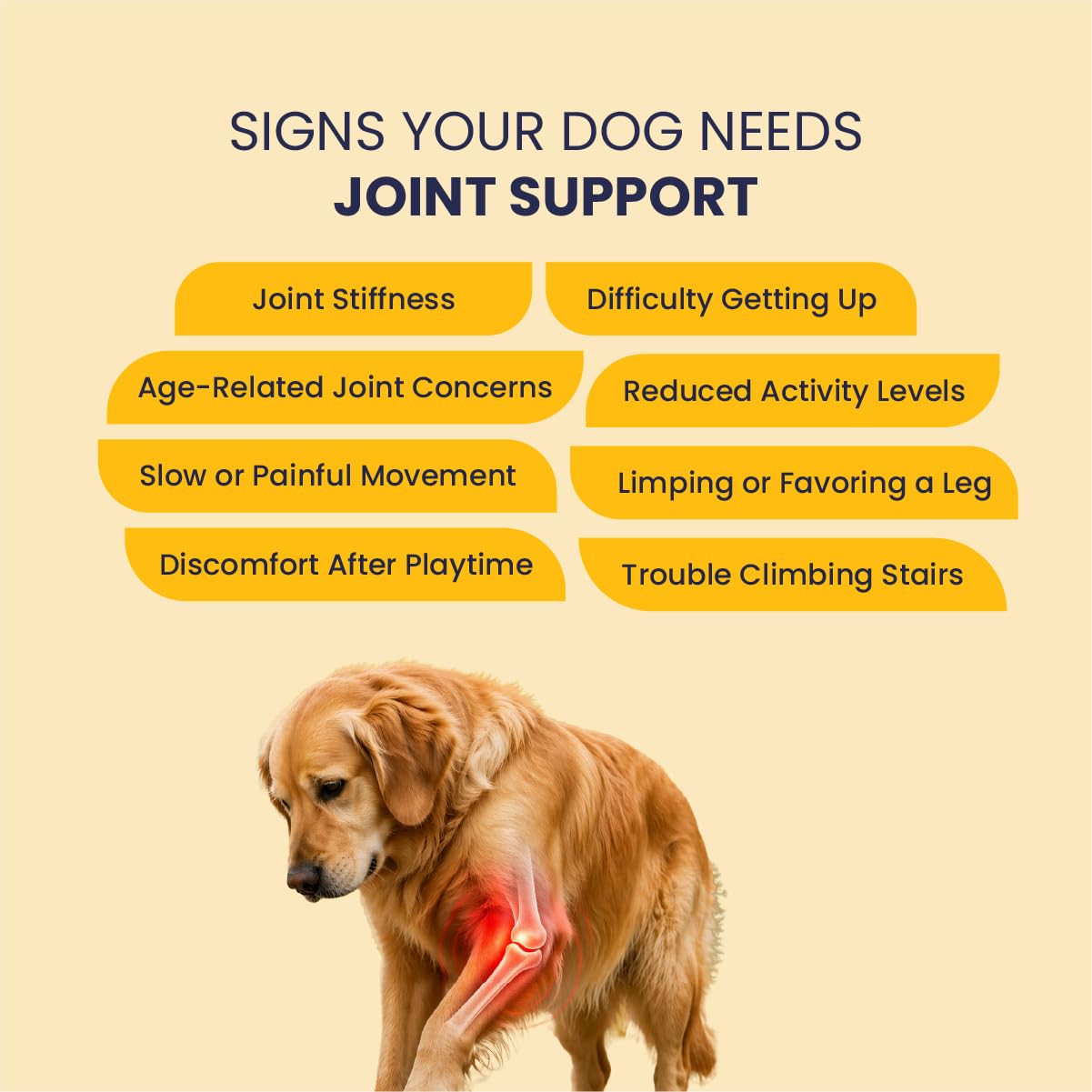 Fur Ball Story Jump-O-Joint Mobility Tablets for Dogs & Cats β 60 Tablets | Supports Joint Health & Flexibility | Promotes Cartilage Support | Daily Joint Supplement 1