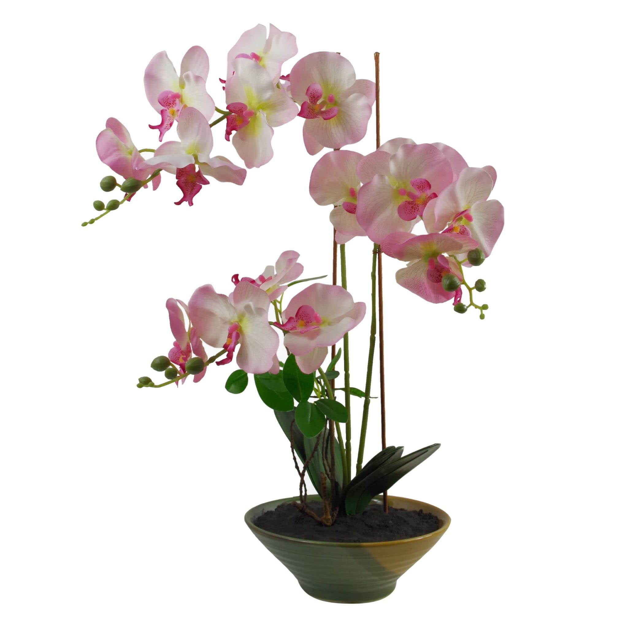 Leaf Pink Glazed Design Uk Realistic Artificial Orchid Flower Display In Pot, 65Cm