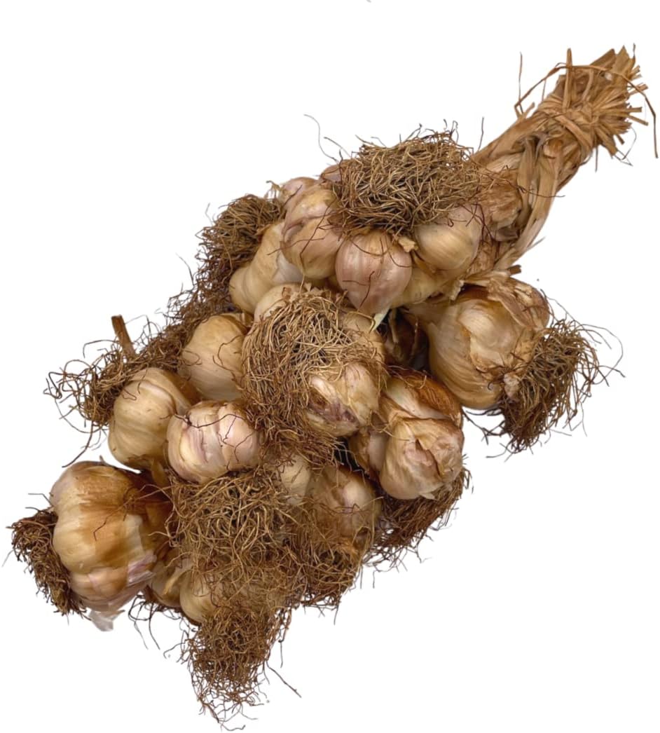 String of Smoked Garlic
