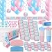 Gender Reveal Party Supplies for 24 - Two Size Plates + Cups + Napkins + Cutlery + Tablecloths + Stickers + Balloons + Banner + Hanging Decorations + Streamers - Baby Shower Supply + Decorations Set