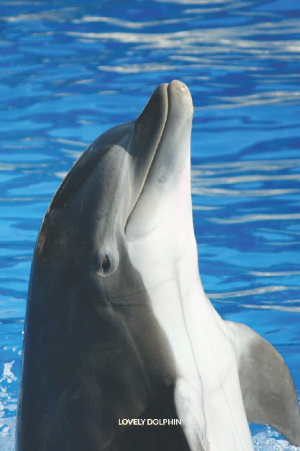 LOVELY DOLPHIN: Discreet Password Book With Alphabetical Order, 6x9" Internet Address & Password Keeper & Organizer Logbook To Remember Your Internet ... Password, Mobile Phone And Notes - 132 Pages