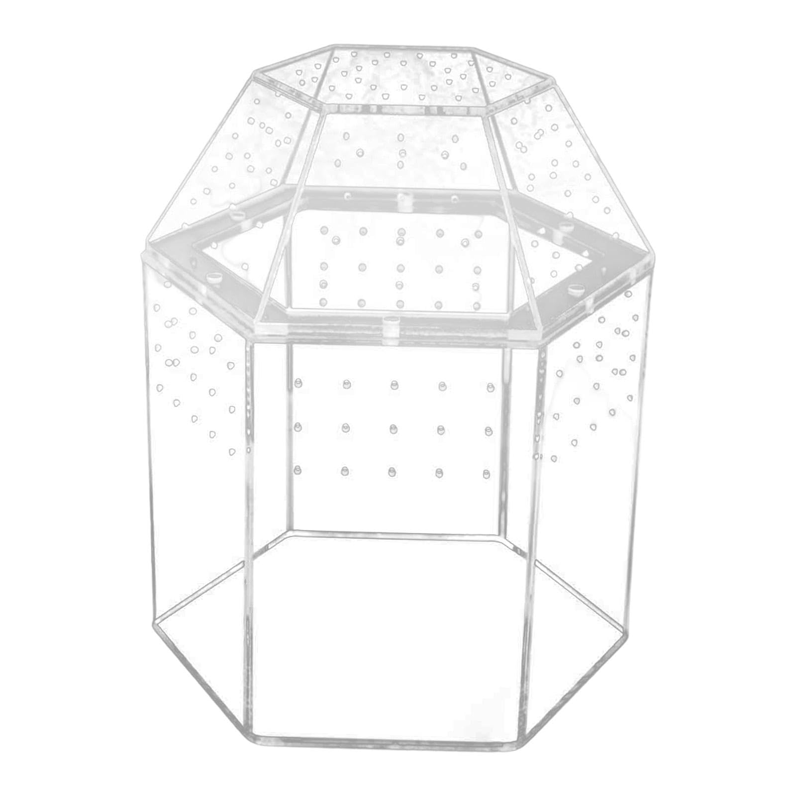 Qianly Terrario para Reptiles con Ventilación para Jaulas de Arañas Saltarinas Y Religiosas.