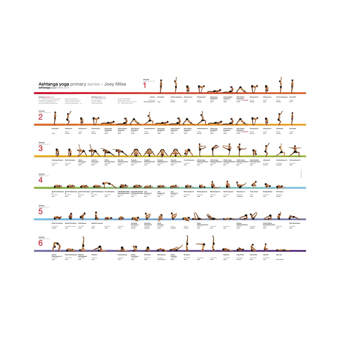 Primary Series Ashtanga Ashtanga Yoga Primary Series: Sequence, Poses,