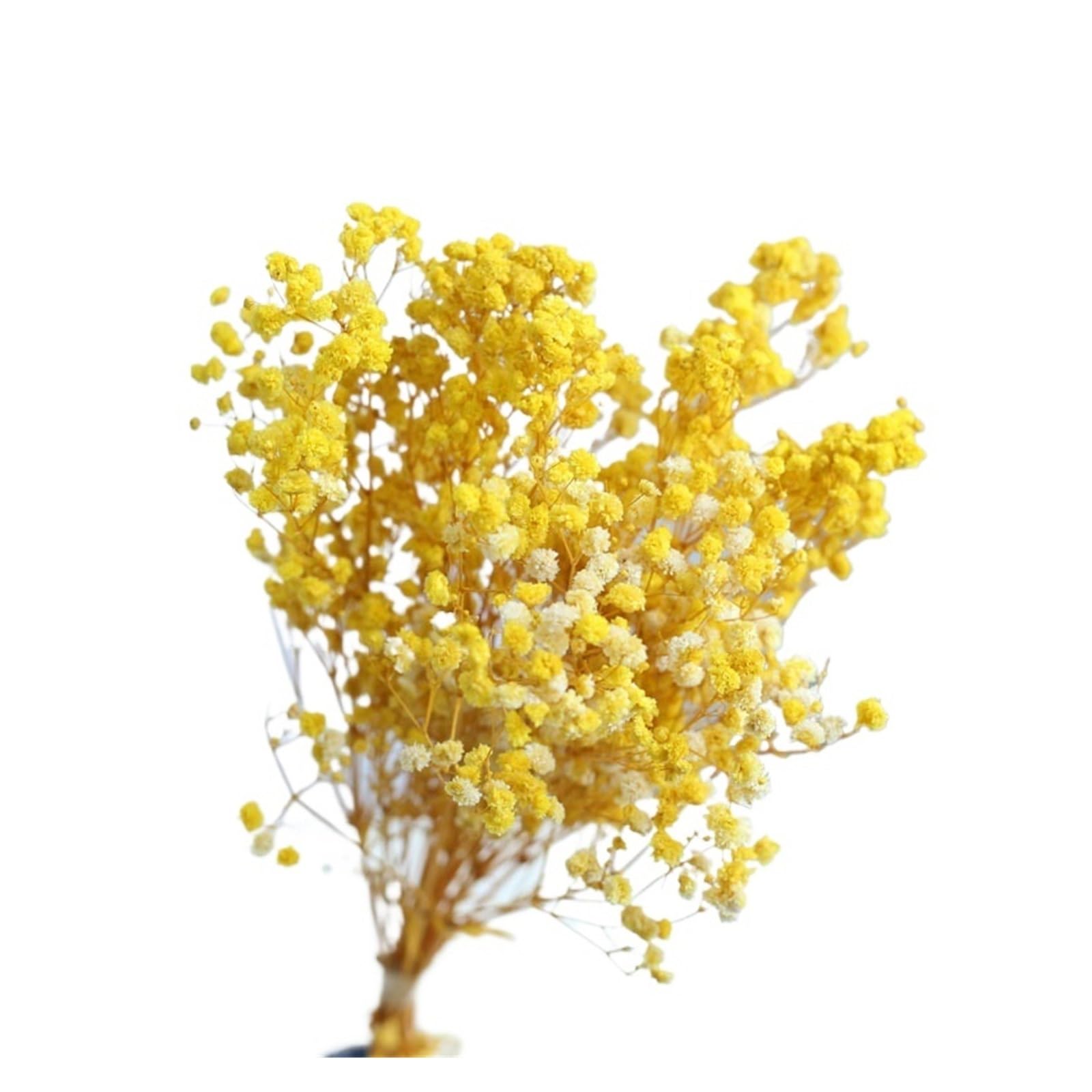 WJIAYAO dried gypsophila flowers 100g Preserved Baby Breath White Gypsophila Dried Flower Wedding Bouquet Decoration Home Vase Filler(Yellow)