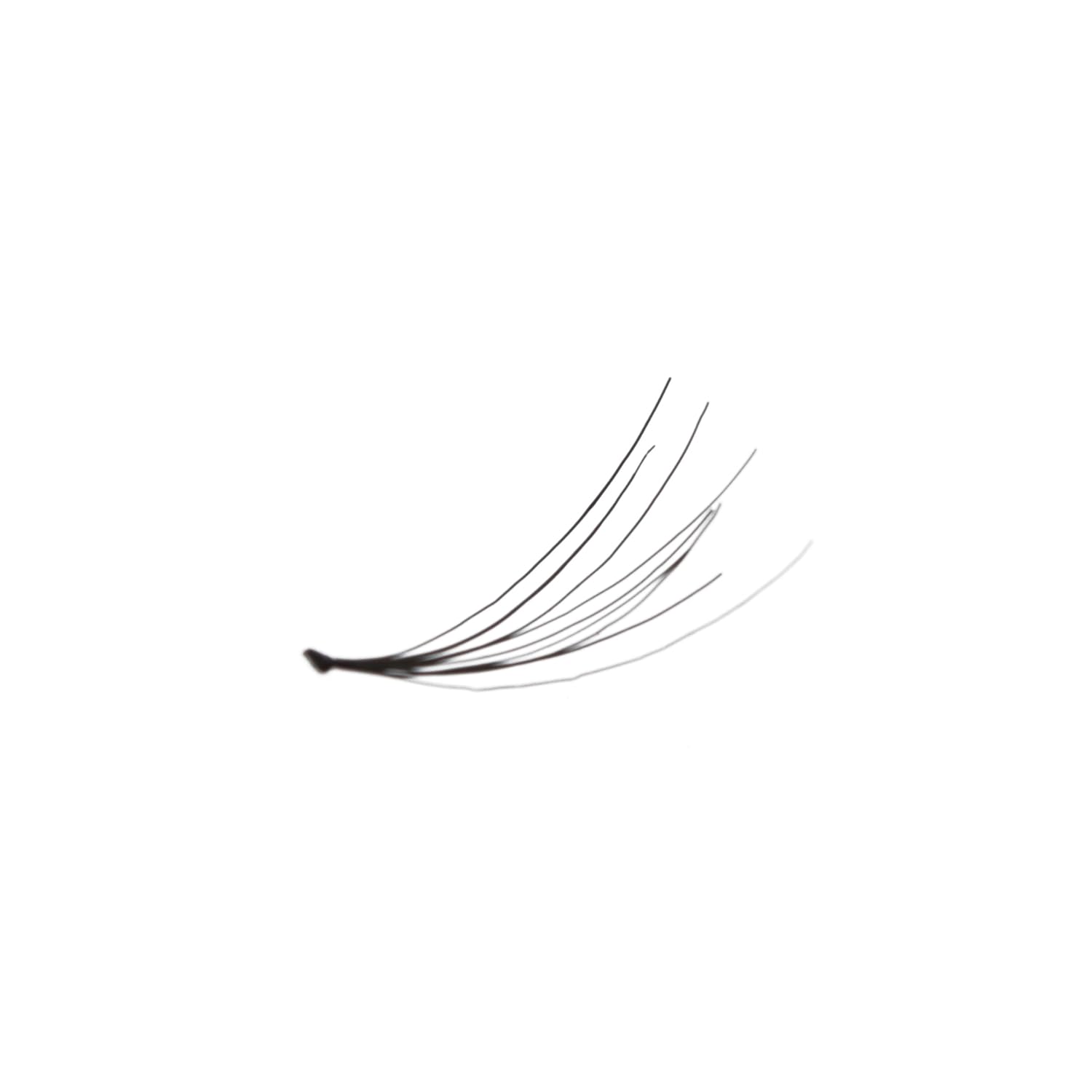 Amorus 12 Pairs Multipack Flare Long False Eyelashes Dozen Set 100% Natural Hair Black Handmade Comfortable Reusable Individuals Fake Lashes Pack