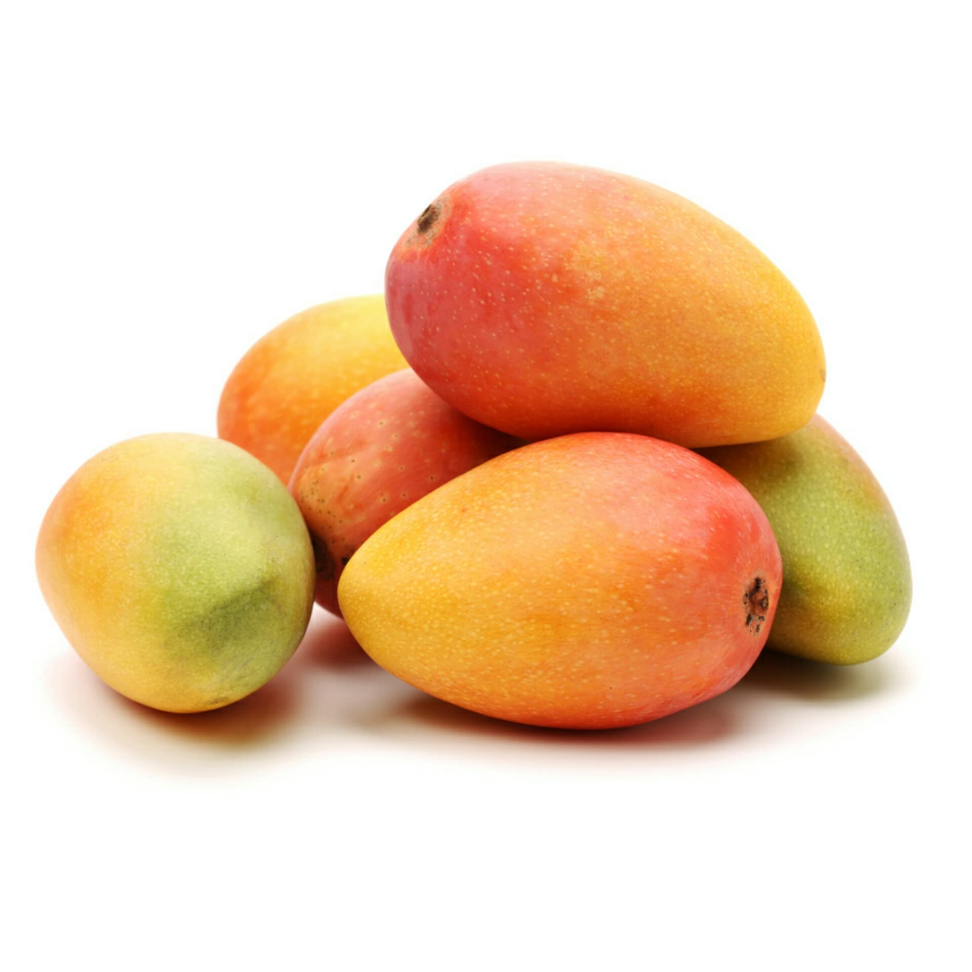 See full amazon price history chart for Native Earth Nursery Ratnagiri Mango Fruit 1 Grafted Live Plants - Variety : Alphonso Mango (2Ft Height, Hybrid, Fresh, 1.5 Kilogram) Native Earth Nursery Ratnagiri Mango Fruit 1 Grafted Live Plants - Variety : Alphonso Mango (2Ft Height, Hybrid, Fresh, 1.5 Kilogram) (B09YQHZ79W) Amazon Price History, Amazon Price Tracker