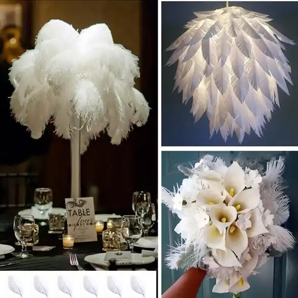 50 PIUME DI Struzzo Naturali Da 15,2 A 20,3 Cm Piume Per Fai Da