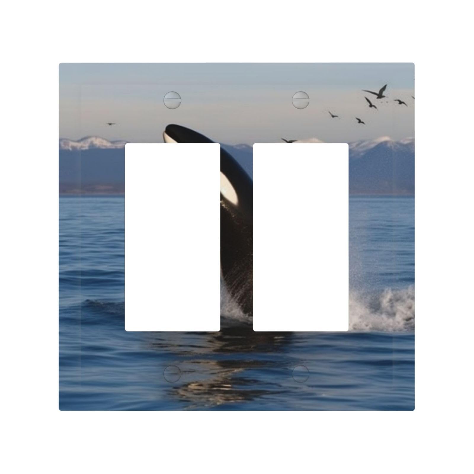 Decorator Double Toggle Light Switch Covers Killer Whale Wall Plate 2-Gang Mid Size 5" x 4.9" Double Toggle Switch Wallplate Decorative 2 Gang Wall Switch Plate Covers