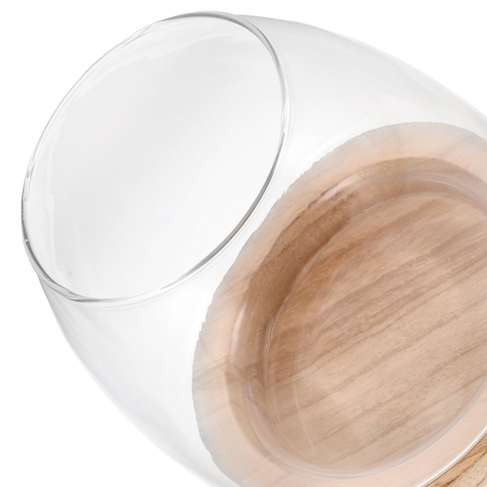 Vase Hydroponique Verre avec Base Pot à Fleurs Eau Transparent pour Propagation Décor Moderne pour Bureau et Maison
