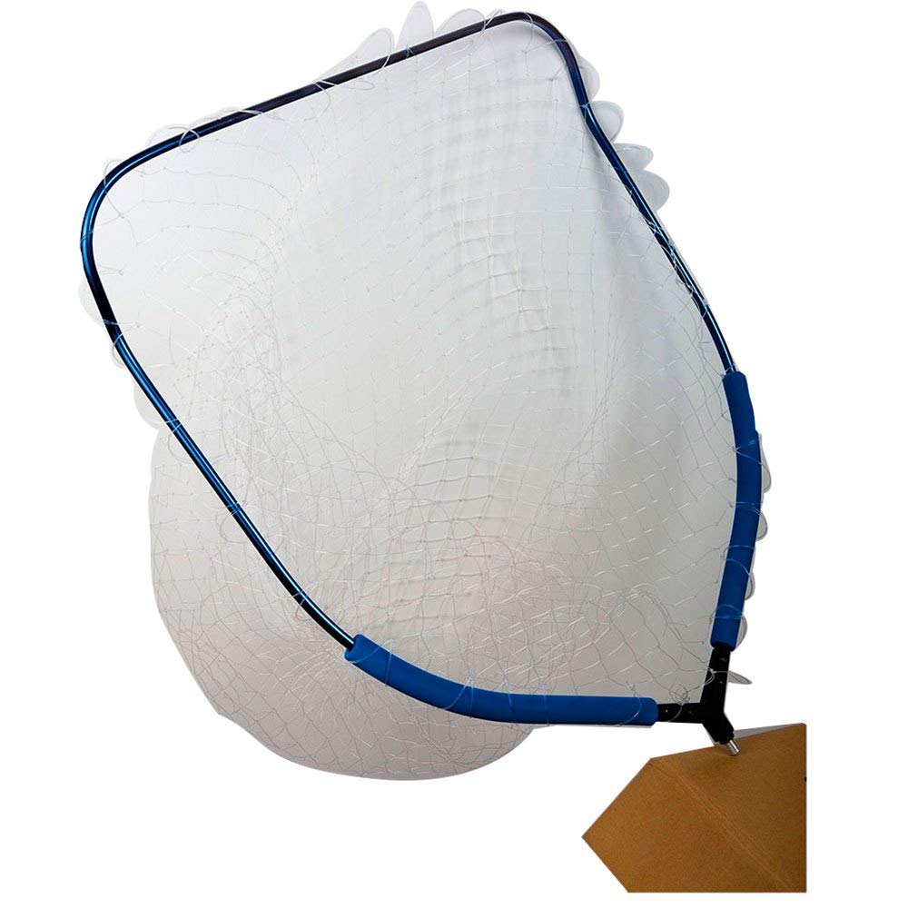 Lineaeffe Testa di Guadino da Pesca Testa Guadino Galleggiante 1 55 x 45 cm per Mare Fiume Trota Lago Filettatura Universale