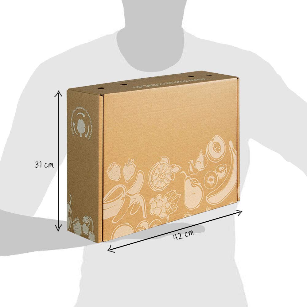 Hansen Obst Geschenkbox fruchtige Obst-Box Mitarbeiter-Obstbox Präsentkorb Obst-Geschenkset gefüllte Obstkiste Probier-Obstbox