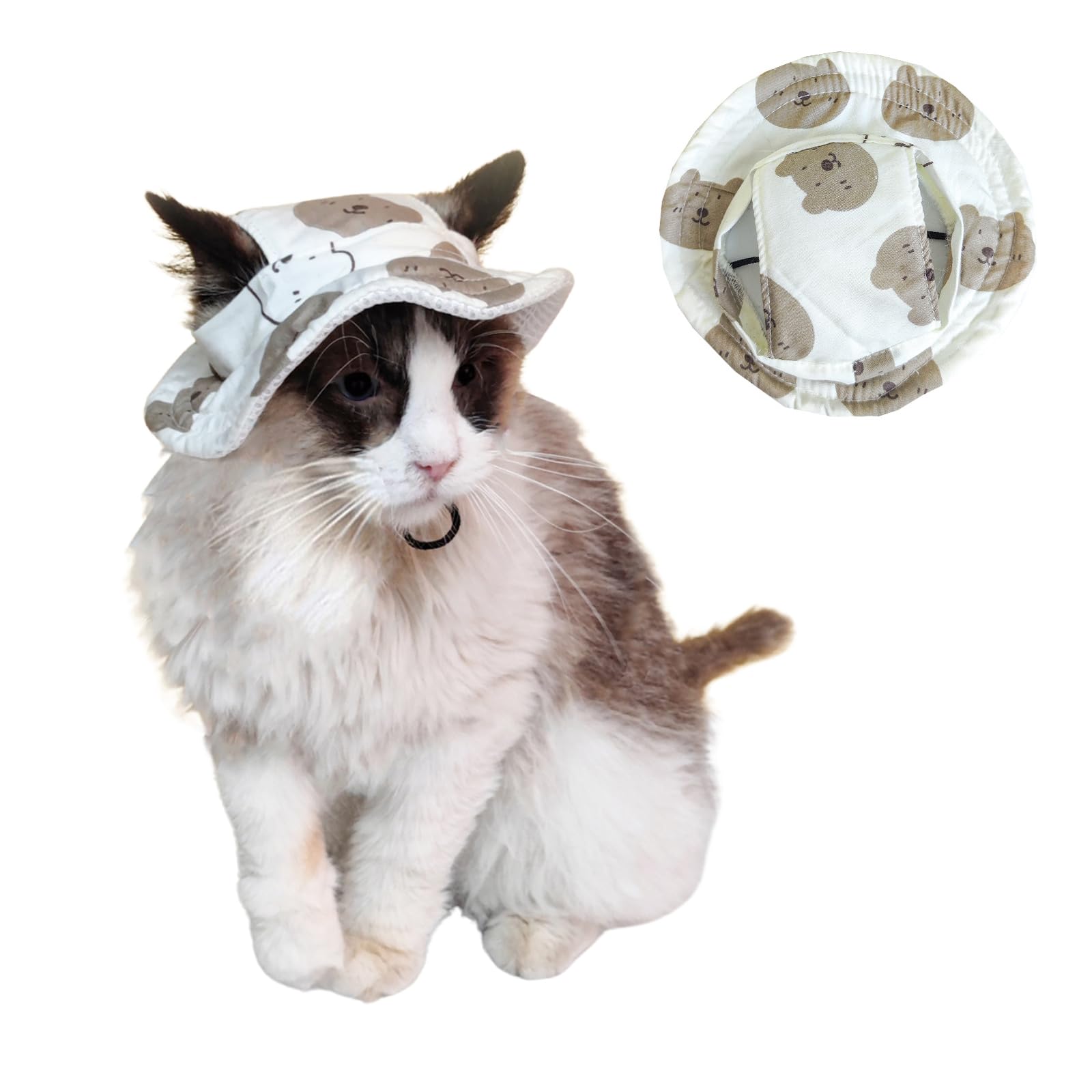 BT Bear Dog Hat