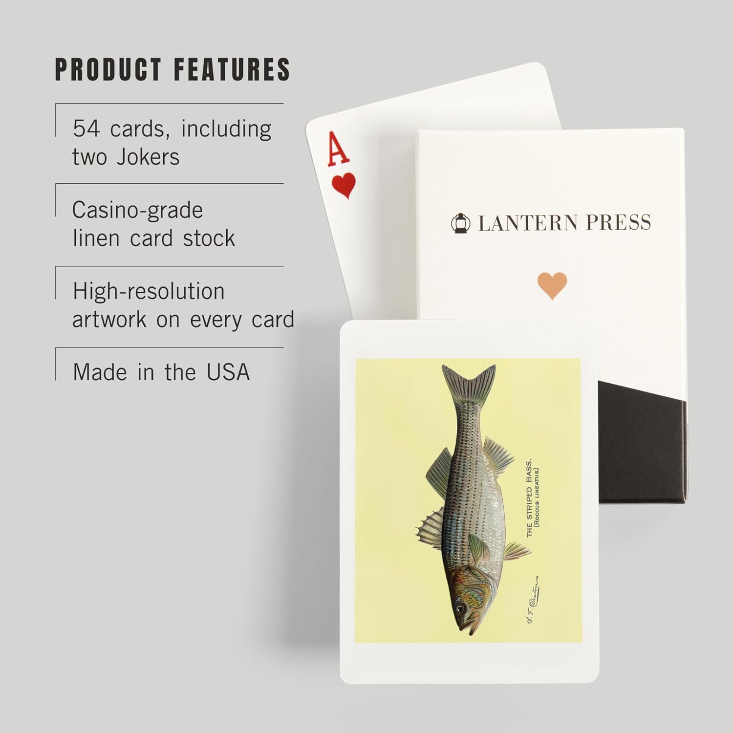 Lantern Press Striped Bass, Denton Fish Print, 52 Playing Cards for Adults, Poker Size Card Deck