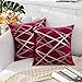 MIULEE Fundas Cojines para Sofa Funda de Almohada Cojin de Terciopelo Suave Estampado de Líneas Decoracion Moderna para Cama Habitacion Dormitorio Oficina Silla Salon 2 Piezas 45x45 cm Vino Tinto